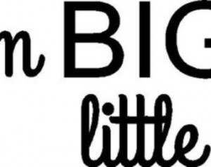 Vinyldecals Dream Big Vinyl