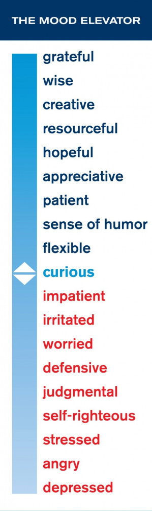 Want to be in a better mood? The Mood Elevator is a great way to be ...