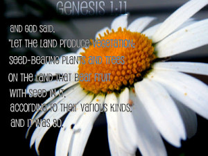 Bible verse of the Week #19