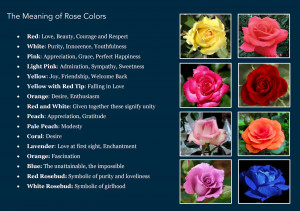 The Meaning Behind a Flower’s Color