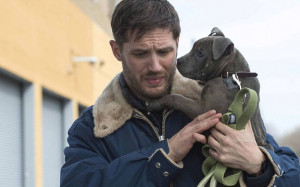 Tom Hardy with canine co-star Rocco in The Drop Photo: REX