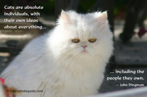 ... ideas about everything, including the people they own. ~ John Dingman