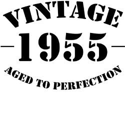 vintage1955_birthday_tshirt_oval_car_magnet.jpg?height=250&width=250 ...