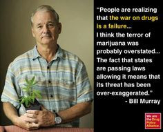 bill murray more cannabis bill fuck stuff famous people bill murray ...