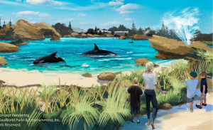 ... from SeaWorld illustrates a new habitat for the park's whales