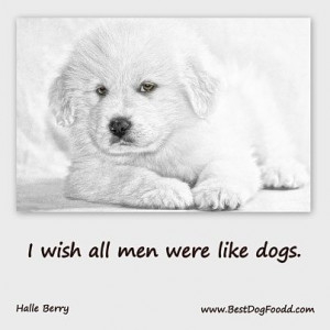 Dog Quotes With Pictures Of Little Boy With His Dog Animal Quotes Dog ...