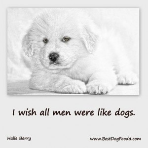 Dog Quotes With Pictures Of Little Boy With His Dog Animal Quotes Dog ...