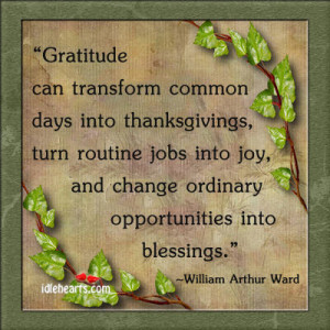 Gratitude can transform common days into thanksgivings,