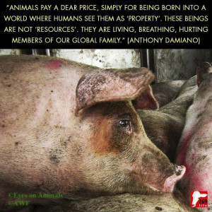 Found on Uploaded by user