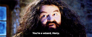 Harry-Potter-Hagrid-Youre-A-Wizard-Harry.gif