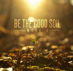 And the seed that fell on good soil represents those who hear and ...