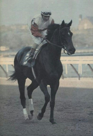 ... Thoroughbred Legends: Ruffian) Rest in peace, sweet girl. Ruffian