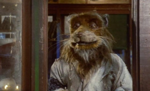 Tmnt 2012 Master Splinter Quotes Tmnt 90s movie splinter