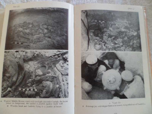 Please quote Username or order number when making a payment