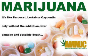 ... oxycontin only without the addiction liver damage and possible death