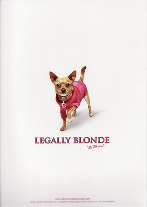 Legally Blonde The Musical Quotes Legally blond. music and