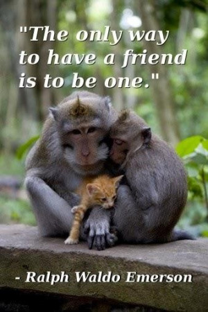 ... have a friend is to be one ralph waldo emerson ~ best quotes & sayings