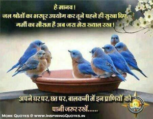 Save Birds, Keep water for them, Animals Quotes, Thoughts, Suvichar ...