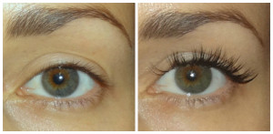 eyelash extension quotes