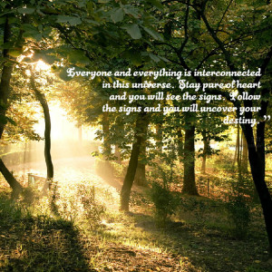 Quotes Picture: everyone and everything is interconnected in this ...