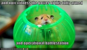 cats : funny-pictures-deathstar-hamster