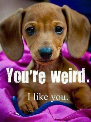 Oh that's totally me! I tell my friends they're weird all the time and ...