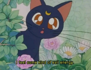 cat cute quote anime kawaii moon Grunge pastel bad Luna sailor moon ...