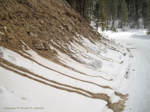 Sunny Snow Daniel Sosin March