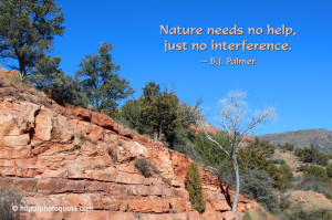Displaying 13> Images For - Nature Quotes And Sayings...