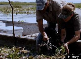 Swamp People': Female Gator Hunters Get A Nasty Shock