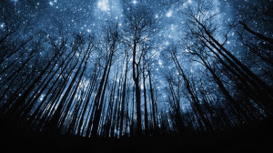 Esta noche los habitantes de América Latina tienen una perfecta ...