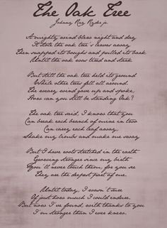 Dads Oak tree. Outlived many Crawford generations so far. Gorgeous ...