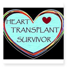 Heart Transplant Survivor Sticker for