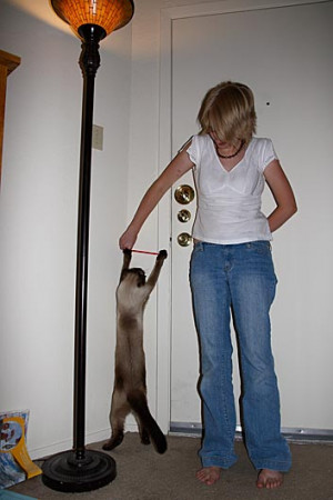 The Bruce grasps at straws