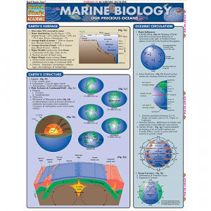 Marine Biology Study Chart @ xUmp.com