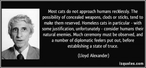 cats do not approach humans recklessly. The possibility of concealed ...