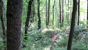 Morgantown West Virginia Health Quotes