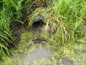 is everything set up and the set at a distance. This is what the coon ...