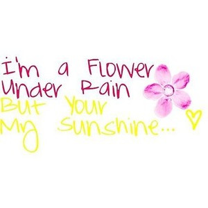 flower under rain quote.. u can use (: