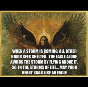 quote EagleInspiration, Heart, Quotes, The Challenges, The Eagles ...