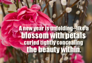 ... with petals curled tightly concealing the beauty within. - Unknown