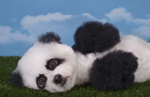 Inspirational Quotes Pictures