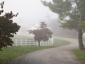 Manchester Horse Farm on a Foggy Morning Lexington Kentucky 1600 x ...