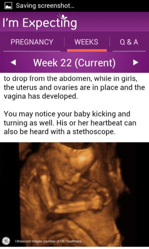 Expecting - Pregnancy App - screenshot