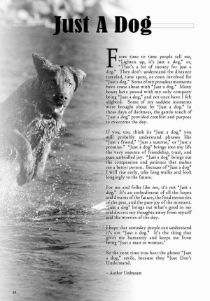 Today I was almost successful in an attempt to assassinate one of my