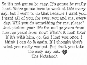 The Notebook Quotes Thats What We Do We Fight The notebook