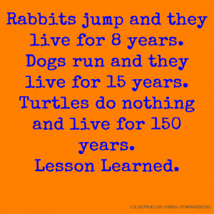 ... 15 years. Turtles do nothing and live for 150 years. Lesson Learned