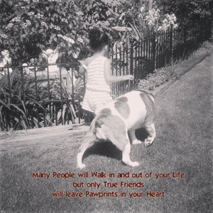 Mi, Bulldogs Quotes, True Friends, English Bulldogs, Baggy Bulldogs ...