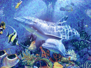 Ocean Background Underwater Sea Animals Images