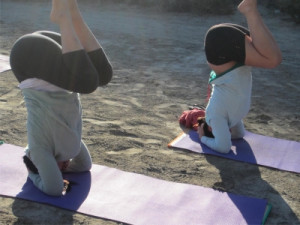 Names like Bikram, Anusara, Yogi Bhajan Kundalini, Vinyasa, were ...